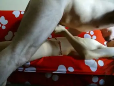 Live ABG Bispak Jakarta Hotel Bintang Lima Skandal Viral Indo Terbaru